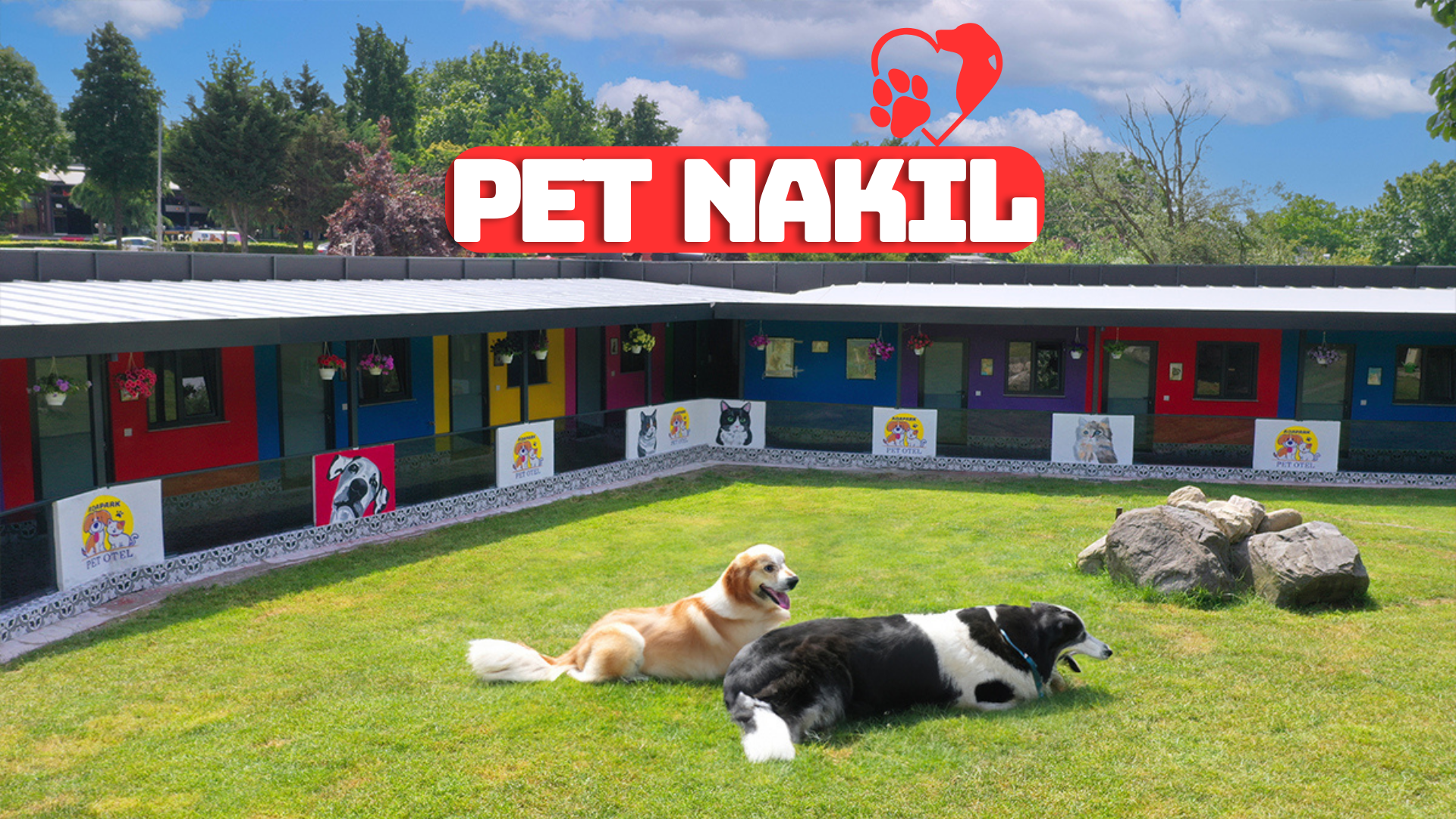 Pet Otel Transfer